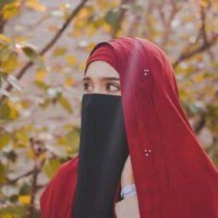 Sundus Hassan - WordPress Website Designer
