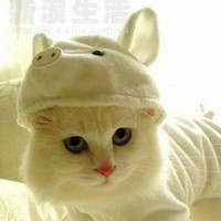 น้องเอ๊กซ์ AiSoft