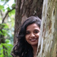 Shilpashree Cb