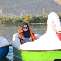 Shadi Safa