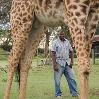 Daniel Theuri Theuri