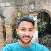 Ritwik Roy