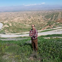 Ali Pourmahdavi
