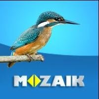 Mozaik Kiadó