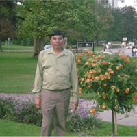 manibhai patel