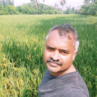 pradeep dadi
