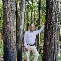 Anand Singh Bisht