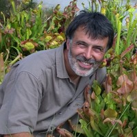 Aldrovanda Vesiculosa