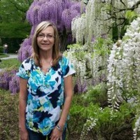 Donna Cooper
