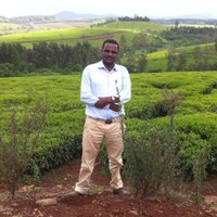Temesgen Neme