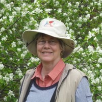 Annis Henson