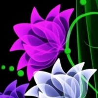 Md Alamgir