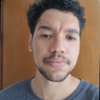 Pedro Henrique Guedes Castro Paulino