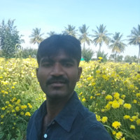 Krishna Murthy Krishna Murthy