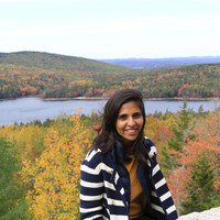 Rajvi Mehta