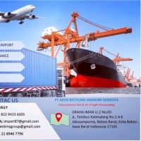 Willy Import