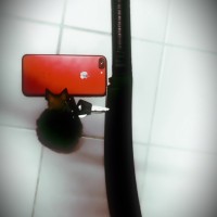 Pozz Chhéń Słøÿ