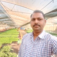 Jai Prakash Tripathi