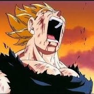 Vegeta C