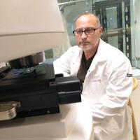 Alessio Gomiero