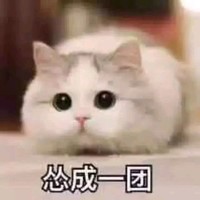 张宗虎