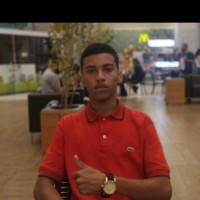 Pedro Henrique Ferreira Silva Vieira