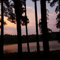 Beth Hemphill