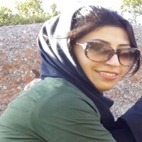 F Moqtader