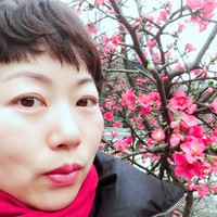 杜春辉