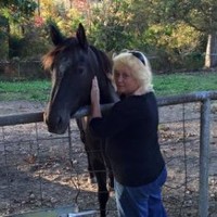 Judy Bray