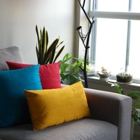 The Pillow Shoppe