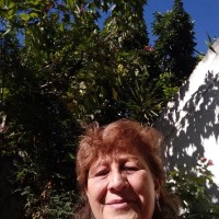 Rosa D' Arienzo Rosa