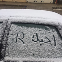 ali al ali