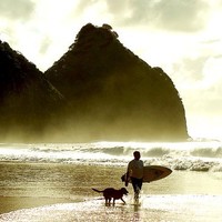 brian alexander