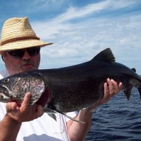 Vagn Greve Danielsen, PFF