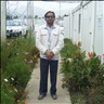 Arshad Siddiqui