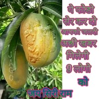 bholeshanker bhaskar