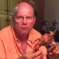 Terry Mccabe
