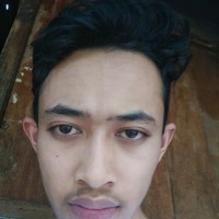 Aldi M