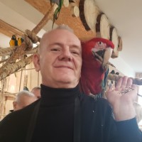 Daniel Sajkiewicz