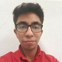 Victor Alejandro Alemán Mendiola
