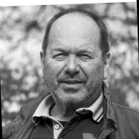 Dieter K.
