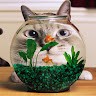 Lokeyong Chia