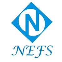 NEFS India Pvt . Ltd.