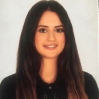 Ebru Şafak