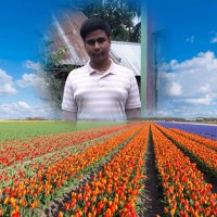Tahlil Tahsin Joy