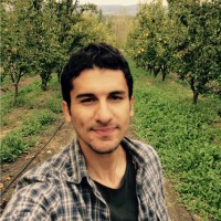 Alper Yavas