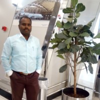 Deepan Arumugam
