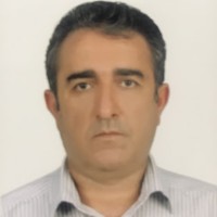 Seyed Hosein Hoseini Nezhad