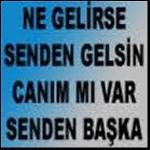 Cansin C